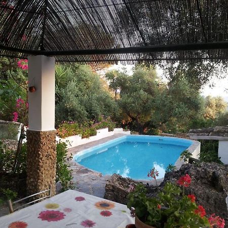 הוילה אל בוסקה Casa El Cerro מראה חיצוני תמונה