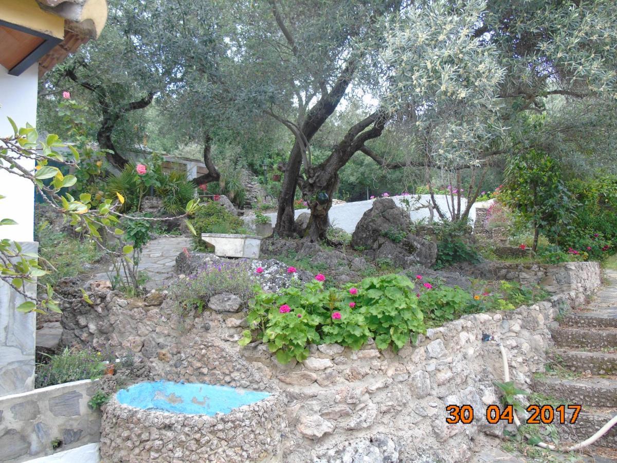 הוילה אל בוסקה Casa El Cerro מראה חיצוני תמונה
