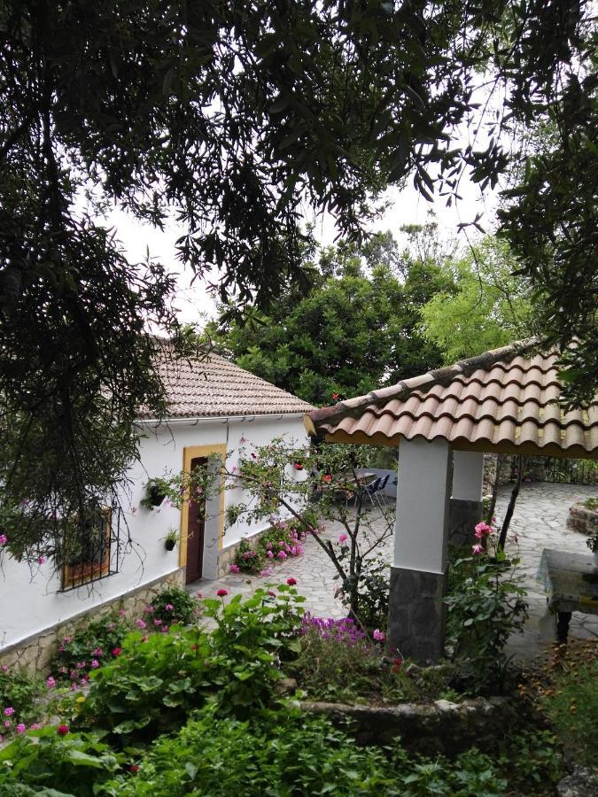 הוילה אל בוסקה Casa El Cerro מראה חיצוני תמונה