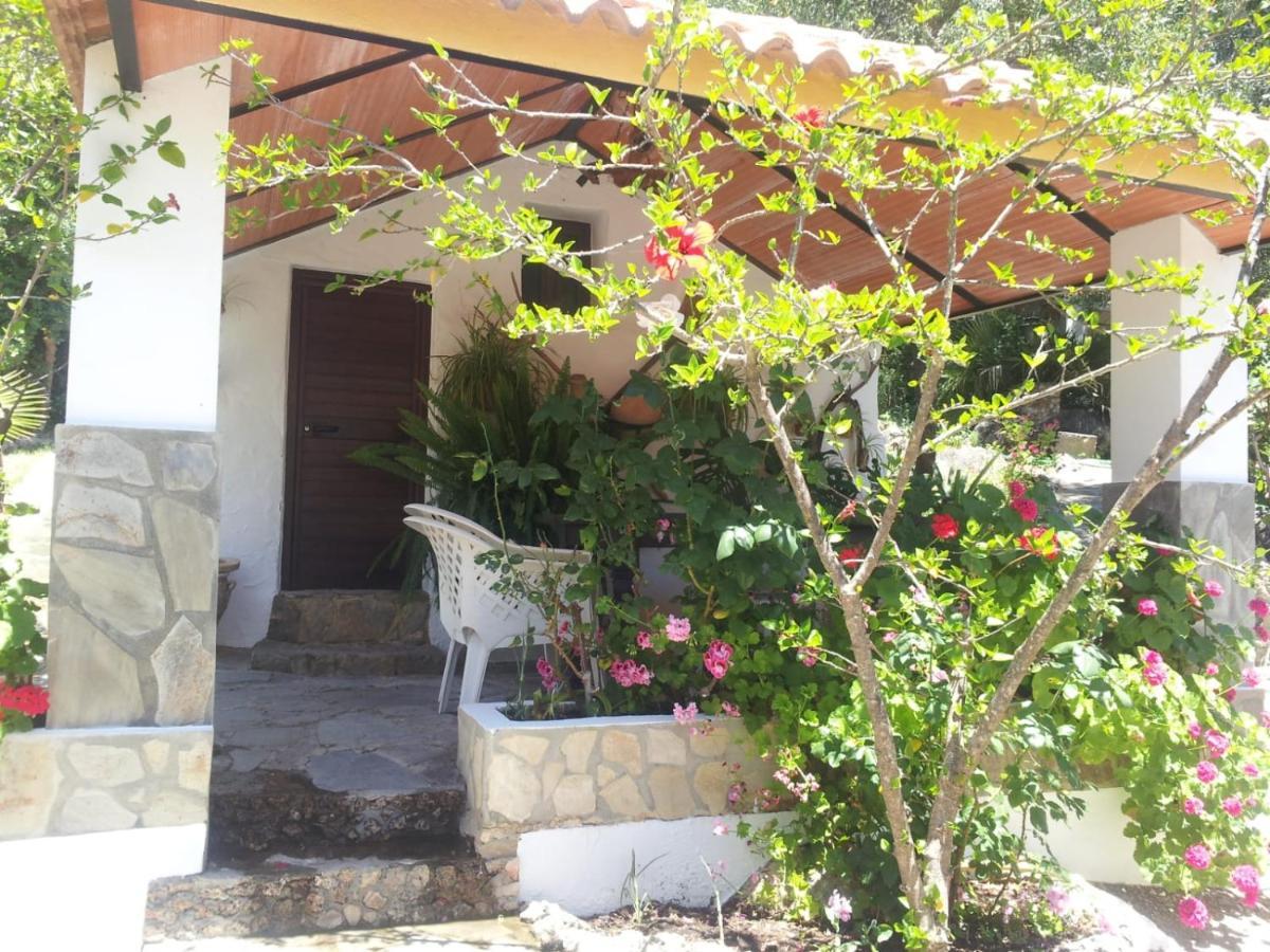 הוילה אל בוסקה Casa El Cerro מראה חיצוני תמונה