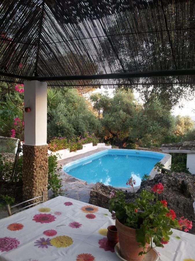 הוילה אל בוסקה Casa El Cerro מראה חיצוני תמונה