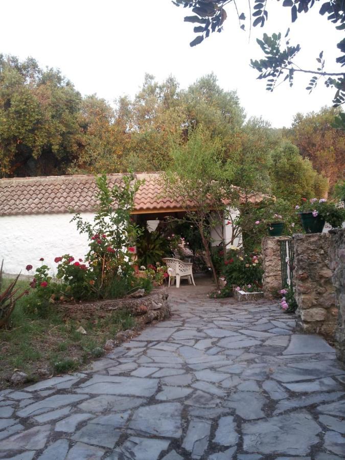 הוילה אל בוסקה Casa El Cerro מראה חיצוני תמונה