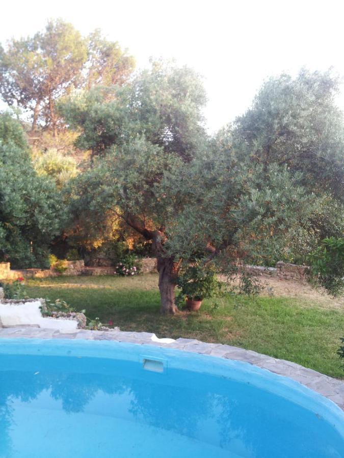 הוילה אל בוסקה Casa El Cerro מראה חיצוני תמונה